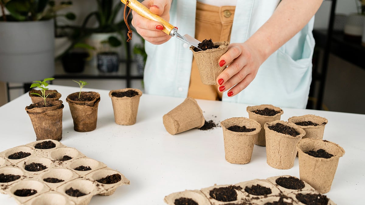 Plant Hanger |
