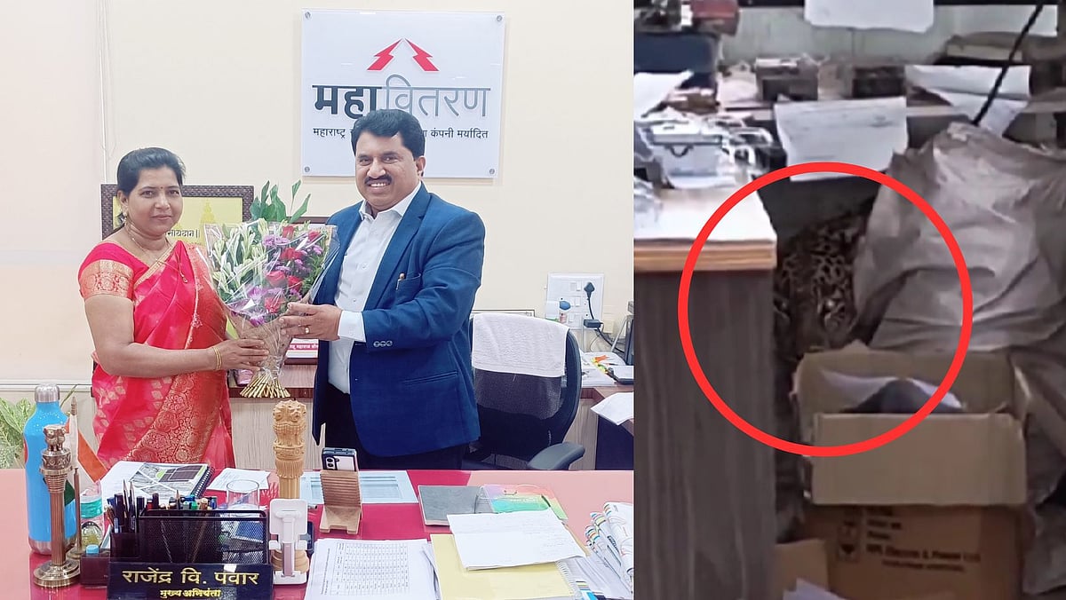 Pune: Heroic MSEDCL Technician Felicitated For Helping Capture Leopard (WATCH VIDEO) | Sourced