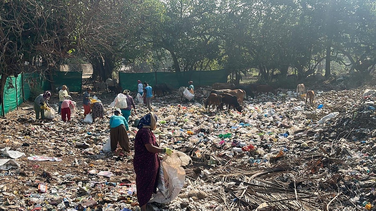 
Think Plastically For A Way Out Of The Plastic Emergency
 | 