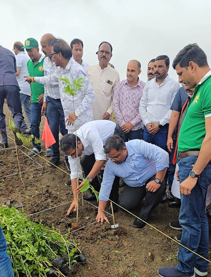 Collector Asheesh Singh and IMC commissioner Shivam Verma plant saplings at Reoti Range