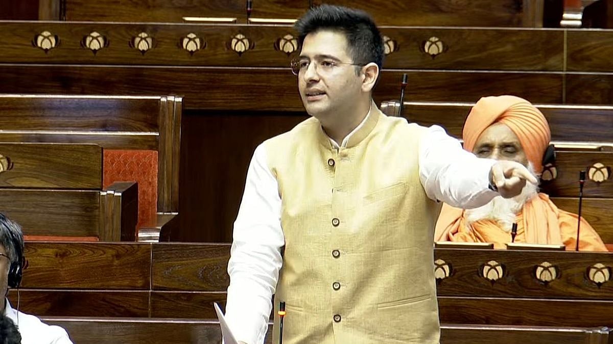 Rajya Sabha MP and AAP leader Raghav Chadha | X