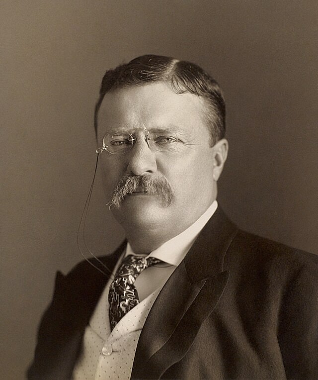 Former US president Theodore Roosevelt