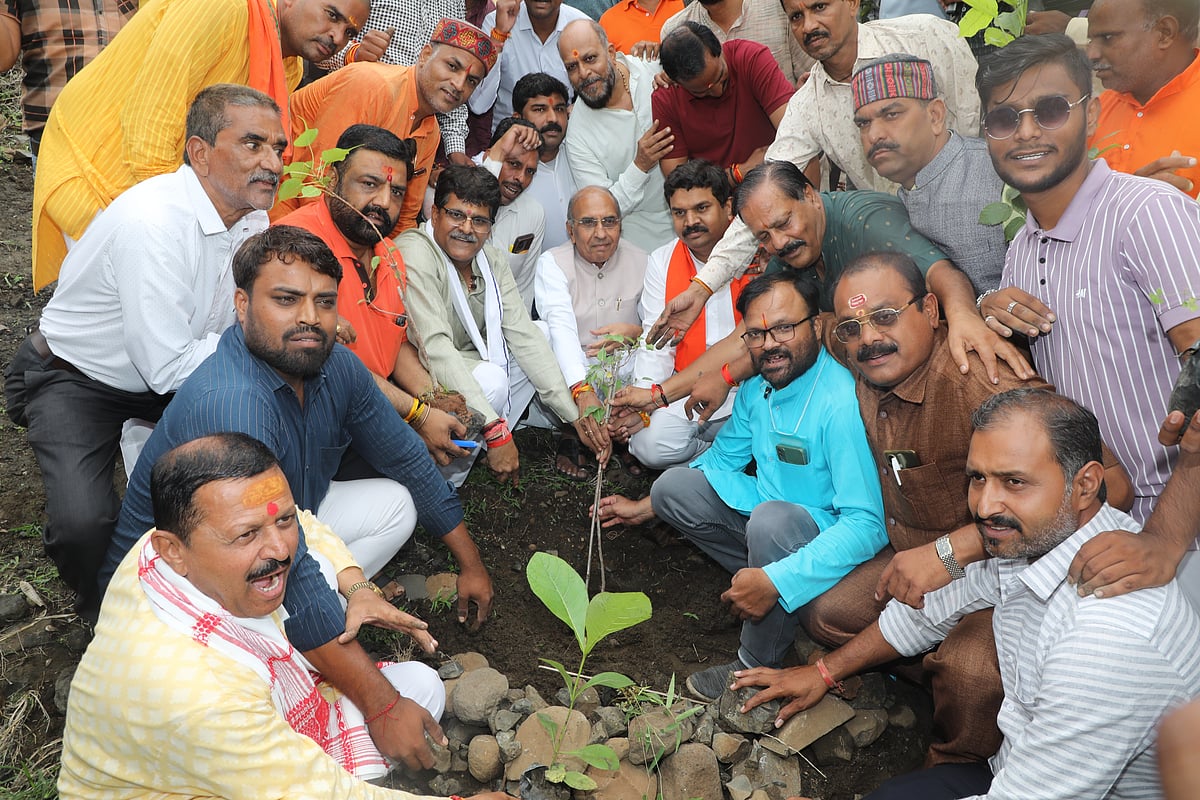 Ek Ped Maa Ke Naam: Over 3,000 Saplings Planted At Bhairav Dungri In MP's Shajapur