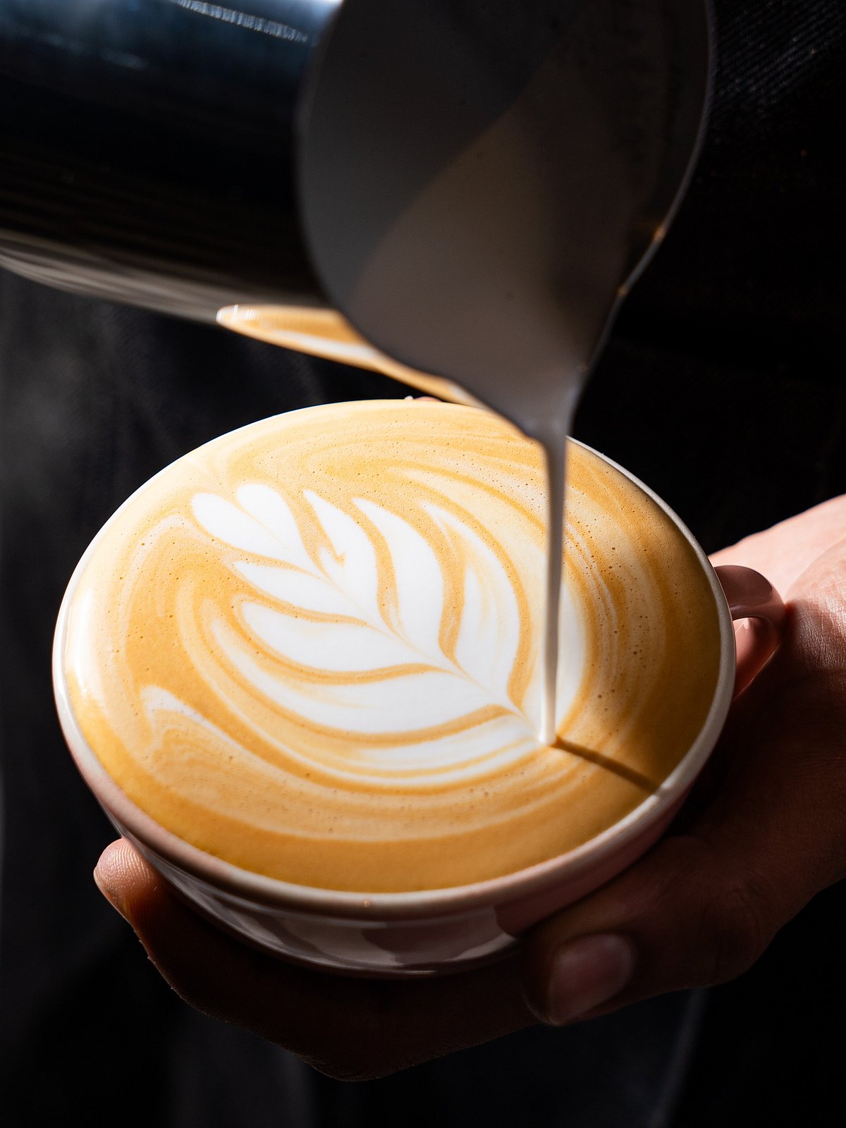 Artisanal Coffee