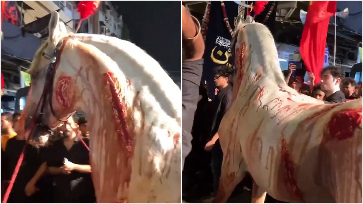 VIDEO: Horse Paraded With Injury Marks In Mumbai's Dongri During Muharram Procession On Ashura | X