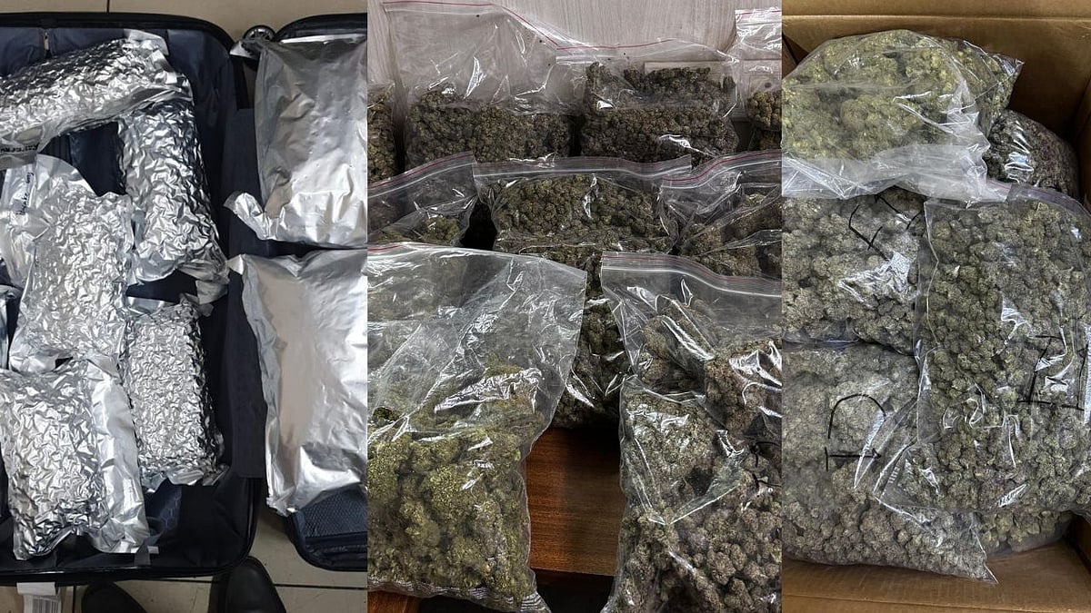 Mumbai: Man Held By DRI With Ganja Worth ₹5 Crore At CSMIA 