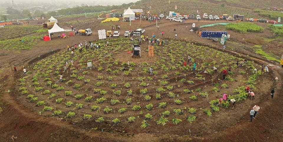 Mega plantation drive at Reoti Range