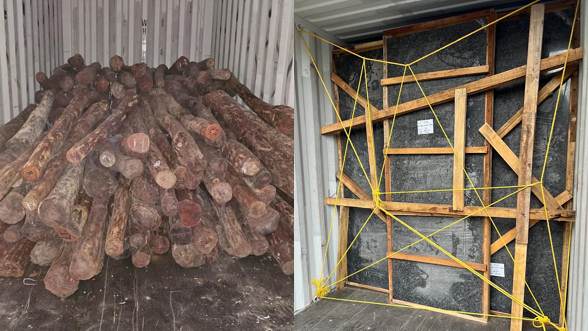 Mumbai: DRI Seizes 8 Metric Tons Of Red Sanders Worth ₹7.9 Crores Smuggled As Granite Slabs At Nhava Sheva Port, 5 Arrested | 