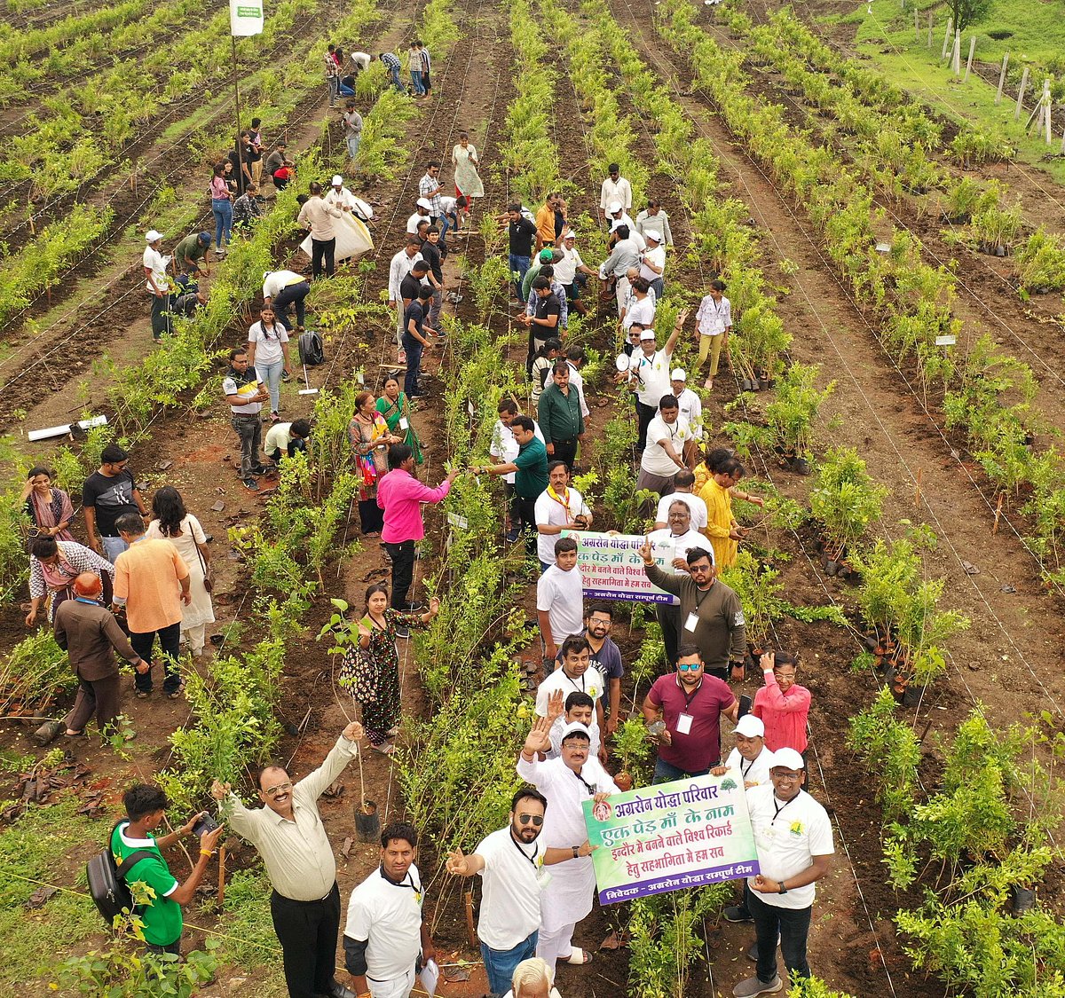 People plant trees and appeal to others to participate in the drive to save mother Earth