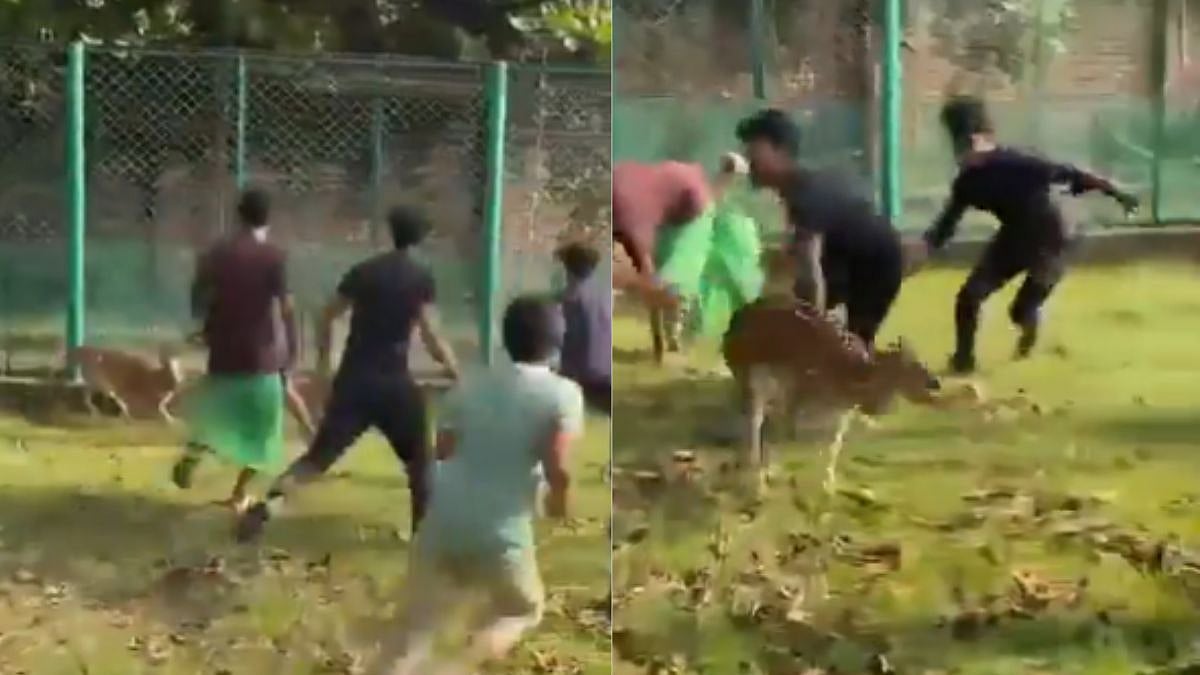 Bangladesh Viral Video: Group Of Protestors Enter Dhaka Zoo To Attack, Kidnap Animals, Chase Terrified Deer Fanatically