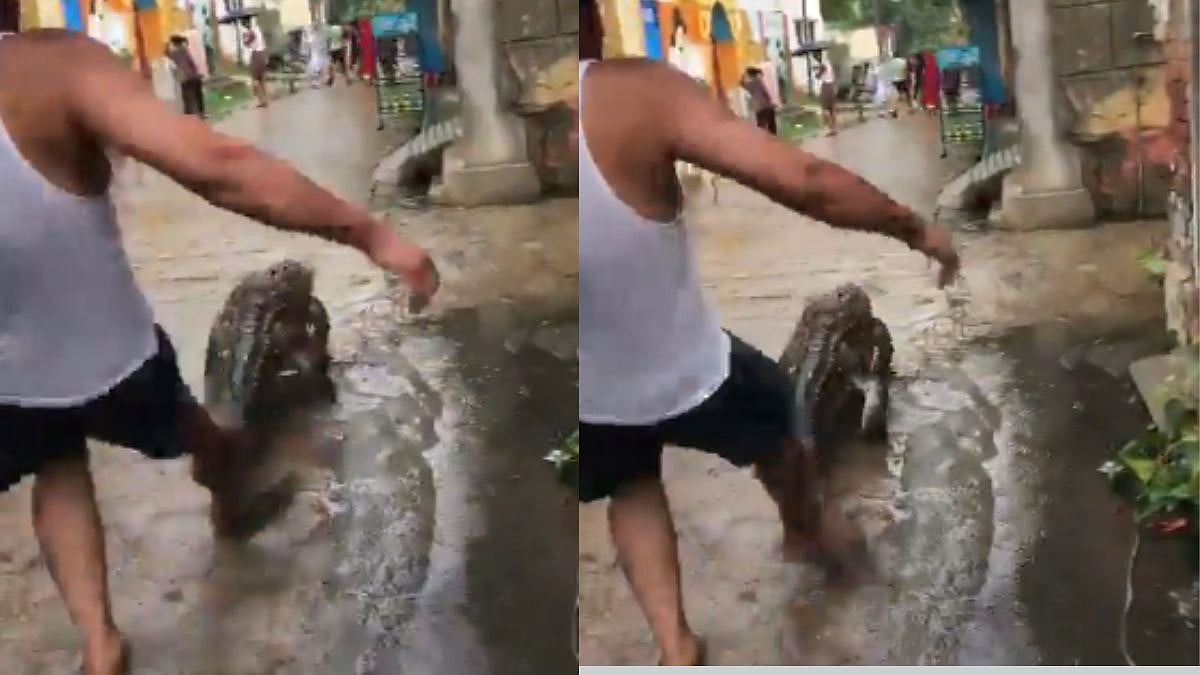 Man Kicks Crocodile In Bijnor | X