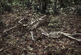 Representative Image | 