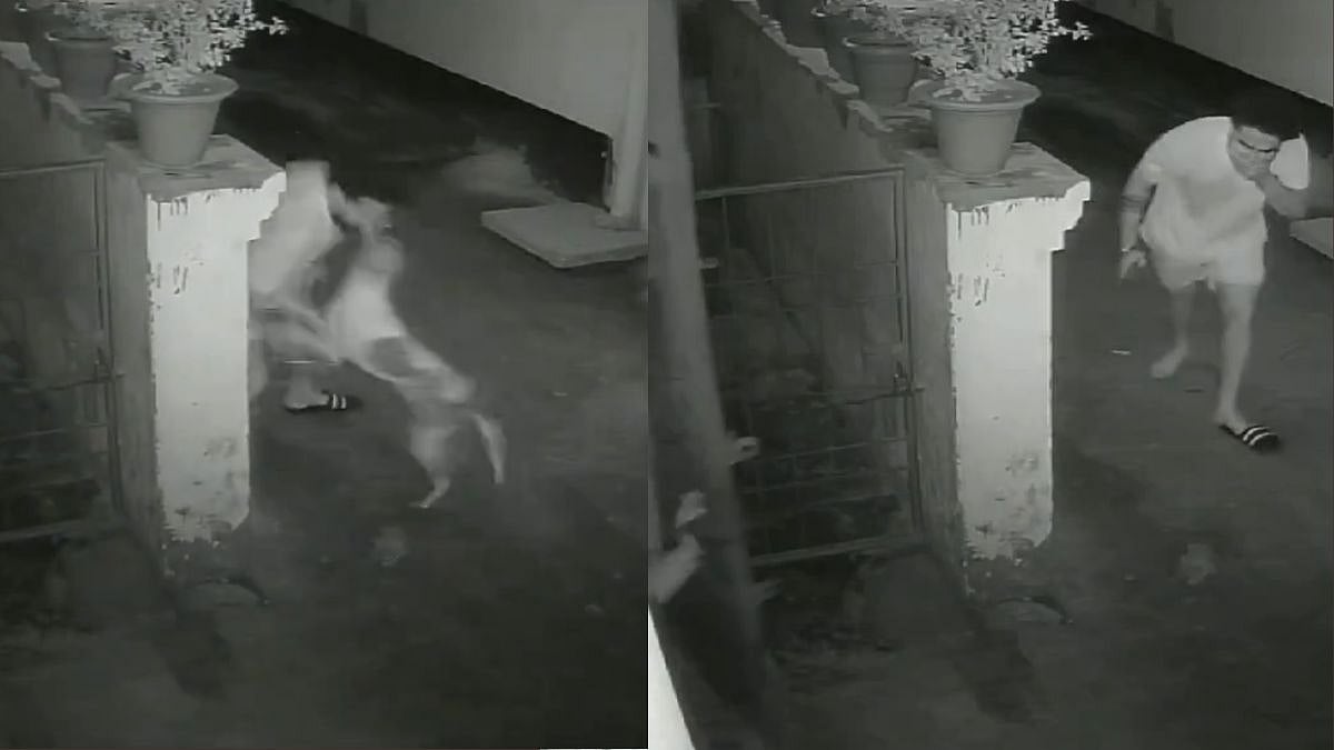 UP: Stray Dog Fiercely Jumps On 22-Year-Old Man Outside Gorakhpur Residence | X