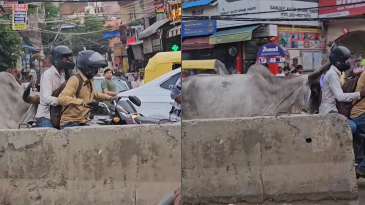 Delhi Viral Video: Bull Attacking Bikers | Instagram