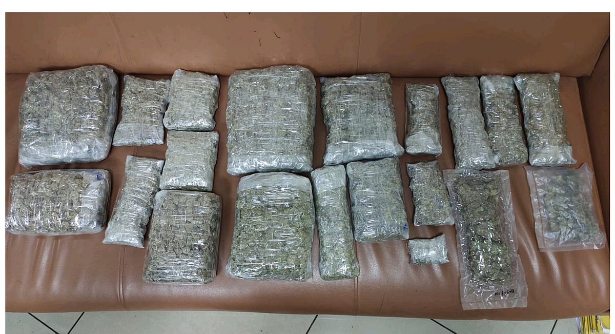 The seized marijuana