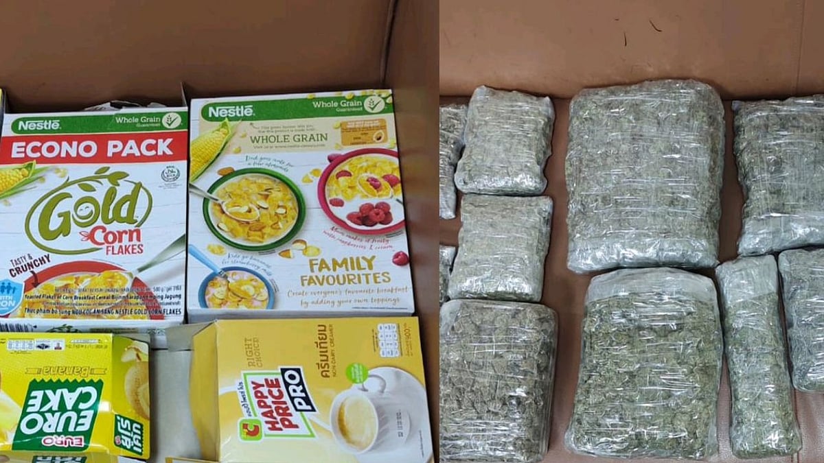 Left To Right: The cereal boxes in which the marijuana was smuggled and the seized drugs | FPJ