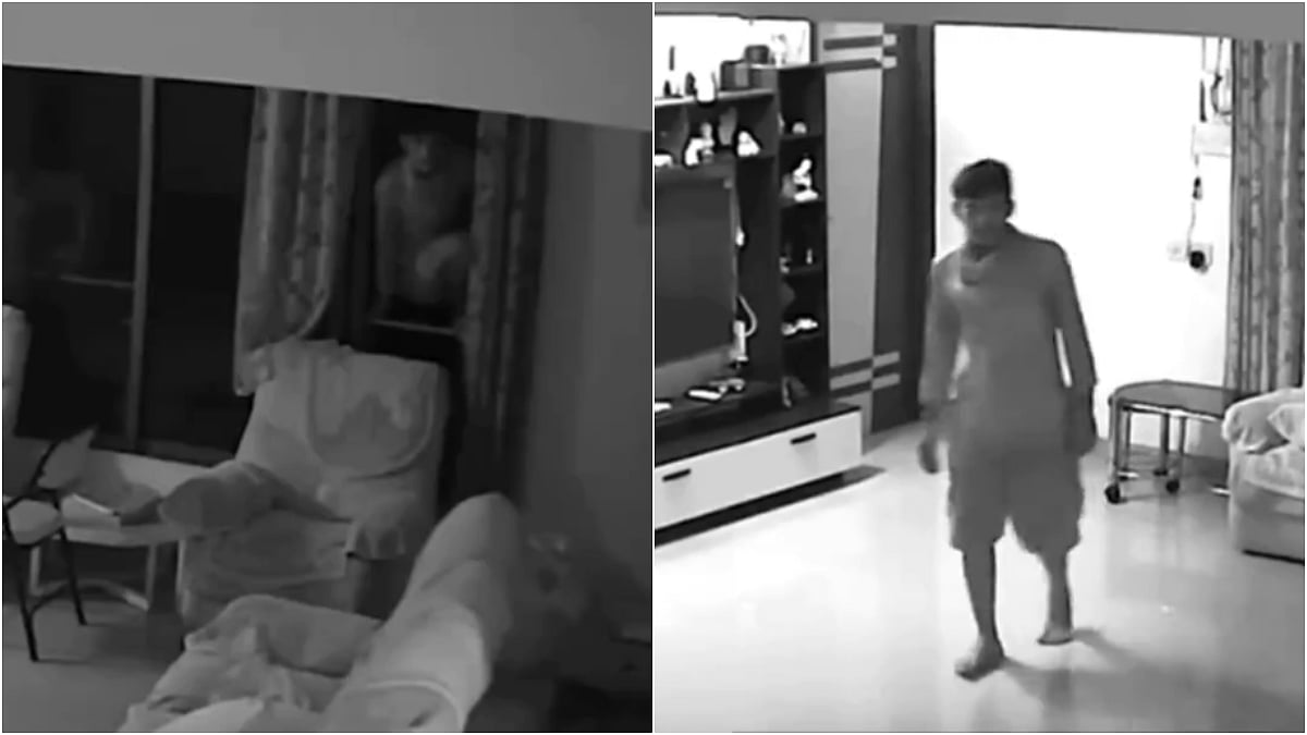 Mumbai: CCTV Video Shows Thief Entering House Of Marathi Director Swapna Waghmare, Stealing ₹6,000 Before Pet Cat Awakens Family