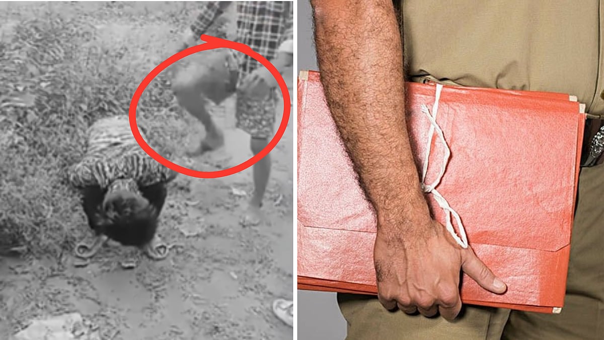 Caught On Cam: Five Booked For Forcing Minor To Become ‘Murga’ In Madhya Pradesh's Shahdol | 