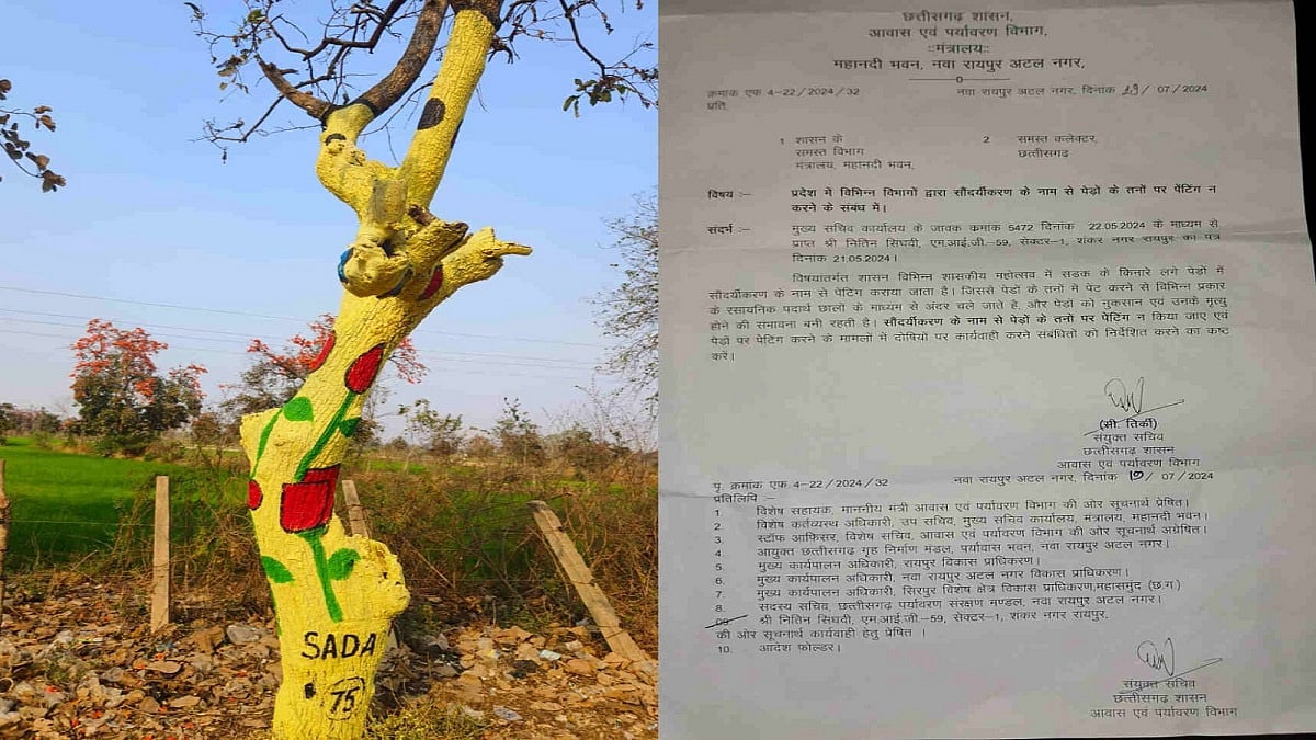 Chhattisgarh: Government Bans Painting Of Tree Trunks To Protect Environmental Health | 