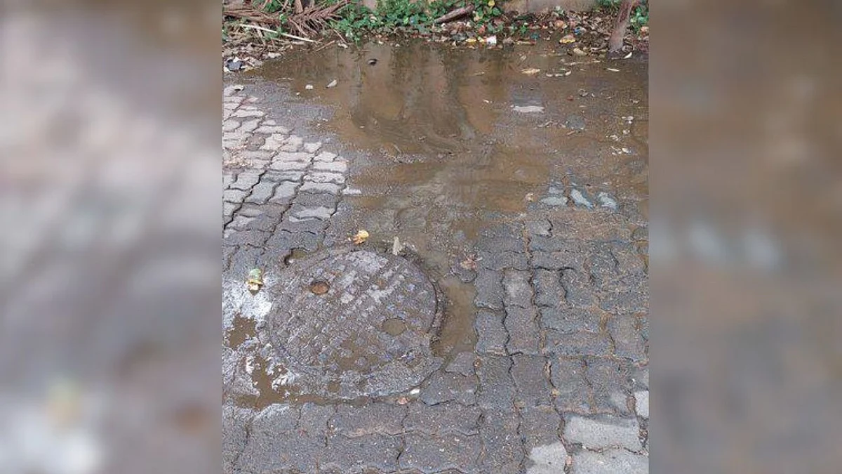 Mumbai: BMC To Lay New Sewerage Line In Malad-Goregaon |