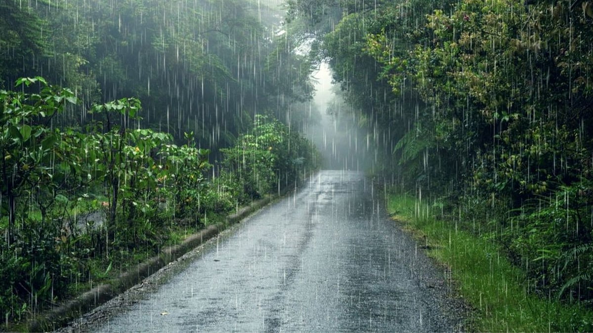 Bengaluru Monsoon: IMD Predicts Light To Moderate Rainfall With Isolated Thunderstorms
