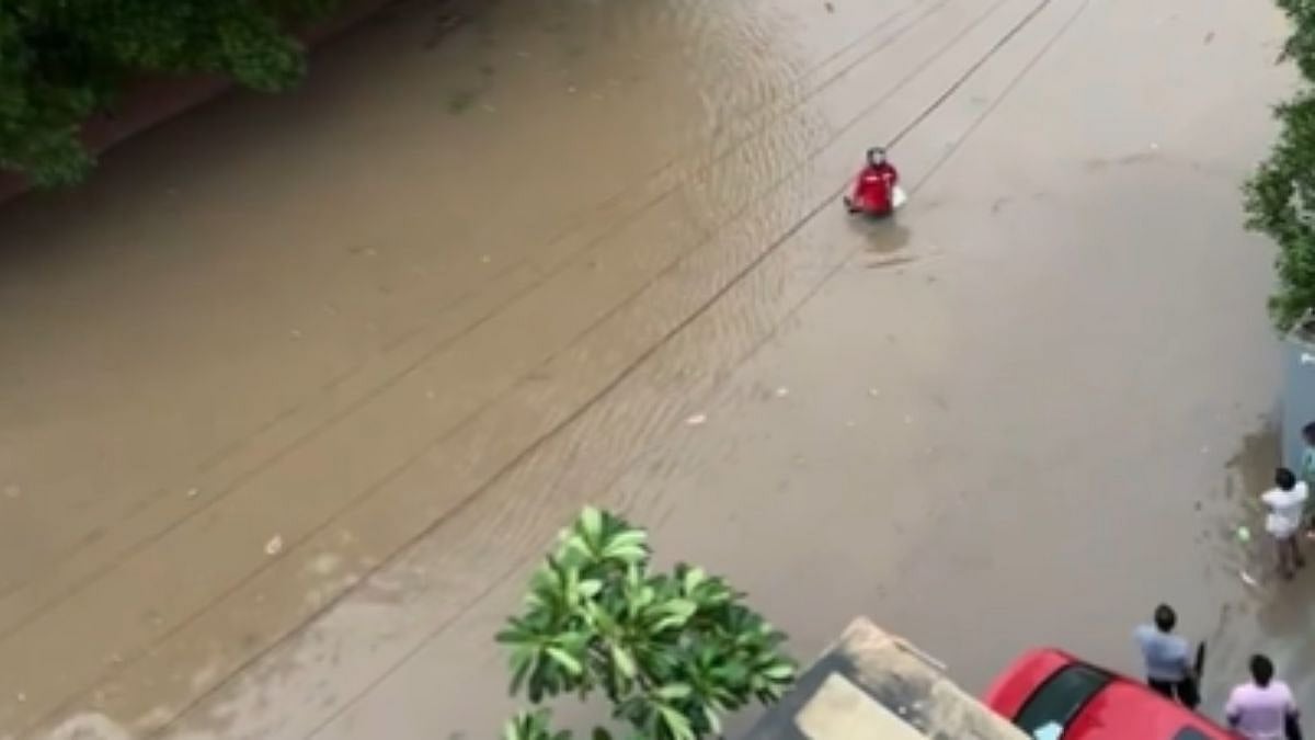 Zomato delivery partner on duty amid Gujarat Floods | X