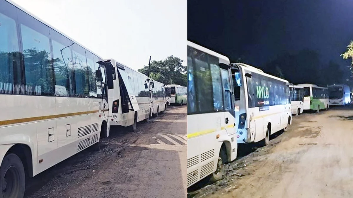 The parked buses in Bhayandar | FPJ
