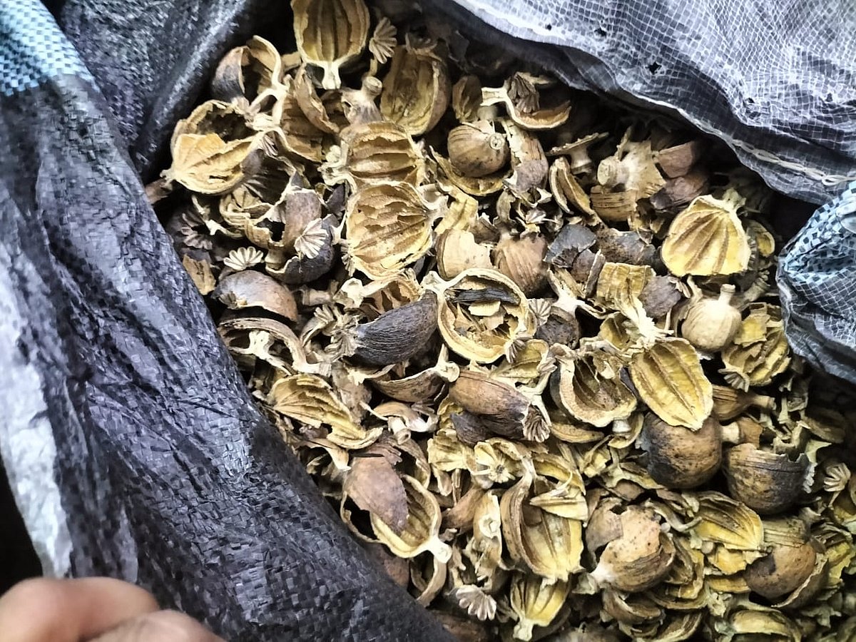 Seized narcotics drugs  | 