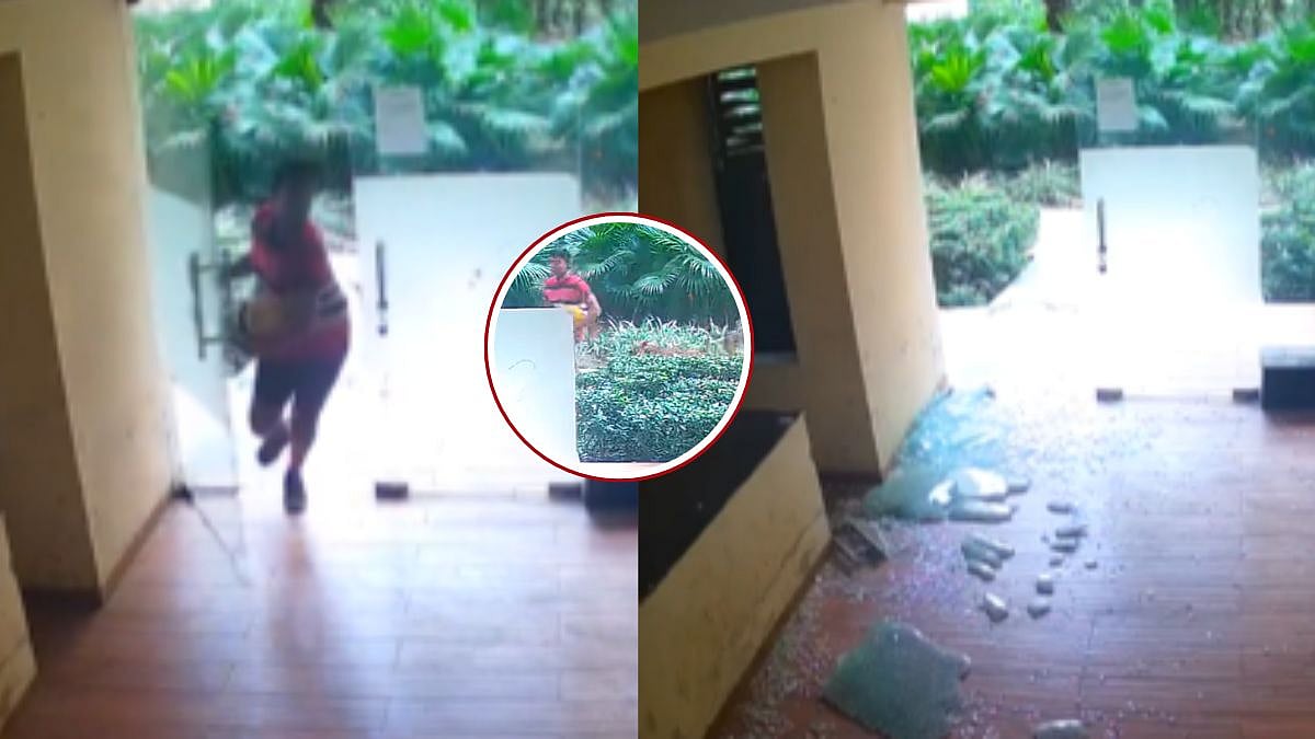 Greater Noida Dog Attack | X