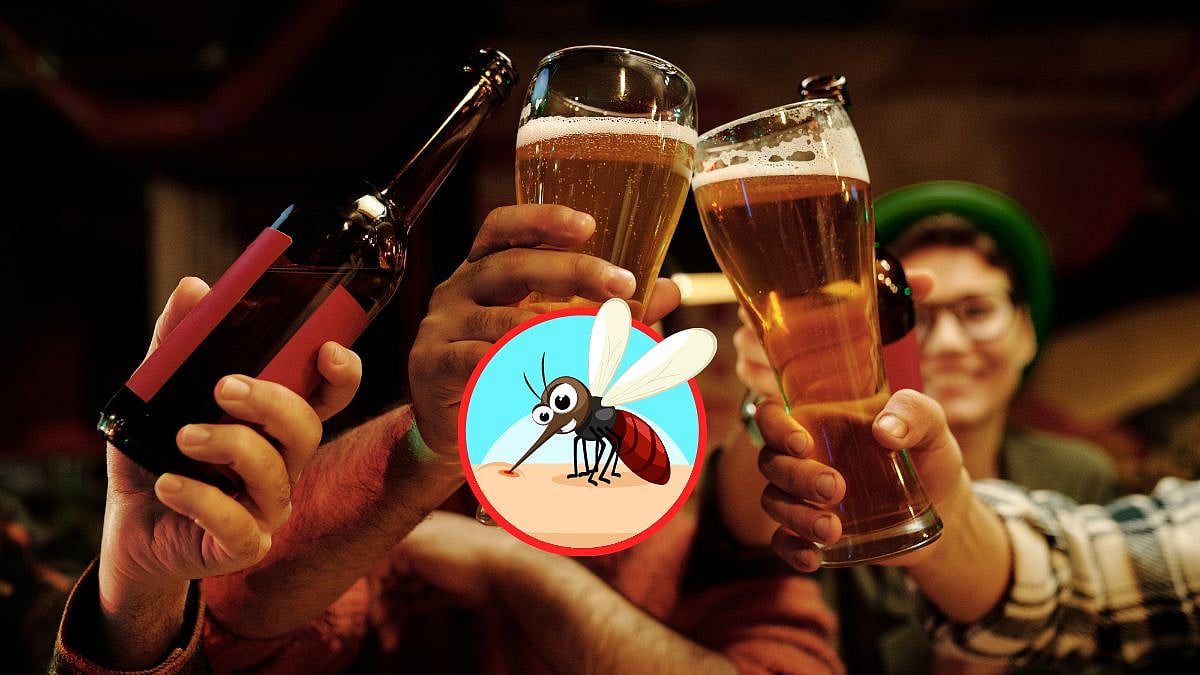 Netizens react to viral study on beer drinking and mosquito connection | Canva/FPJ