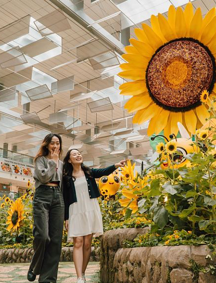 Singapore Changi Airport showcases the world’s largest airport sunflower display, with over 5,000 blooms across all four terminals, Hub & Spoke, and along the Airport Boulevard. Photo courtesy: Instagram/ changiairport