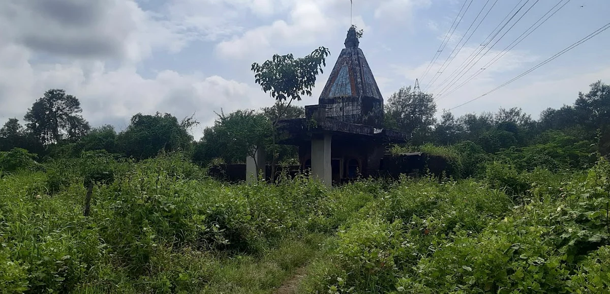 500 mangrove trees were allegedly cut down overnight near 90 ft Road, Malwani, adjacent to the Tata Power House