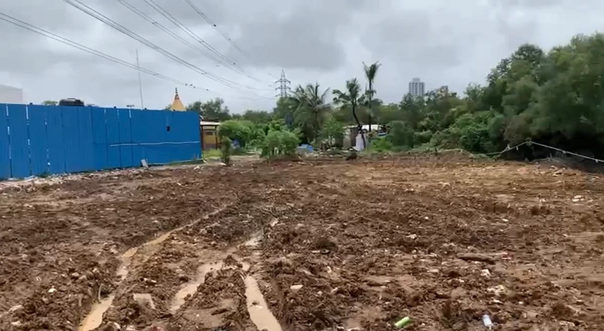 500 mangrove trees were allegedly cut down overnight near 90 ft Road, Malwani, adjacent to the Tata Power House