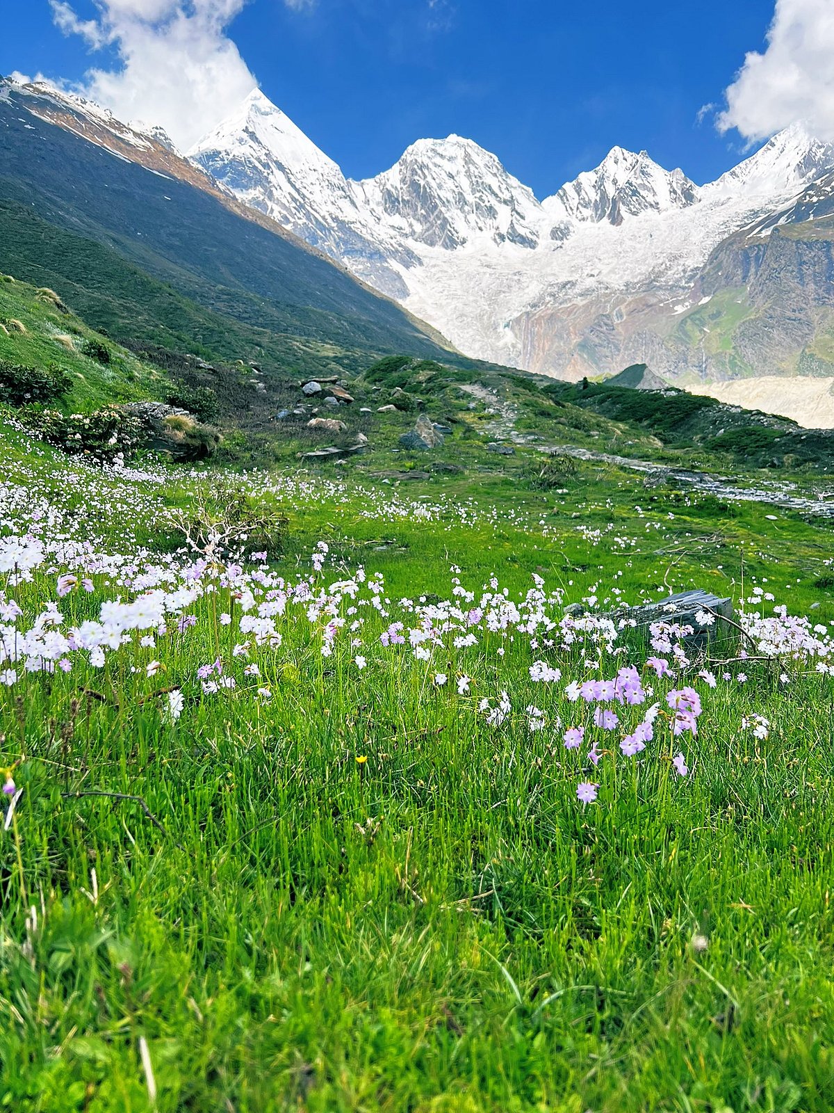 Himalaya Day 2024