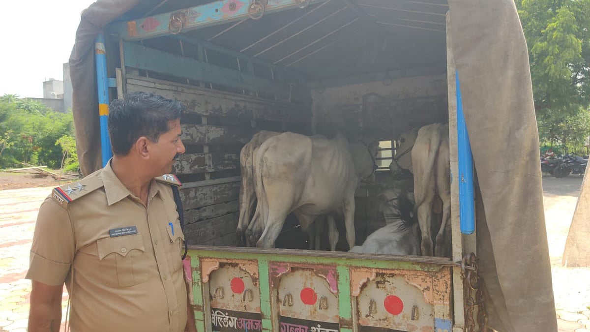 Madhya Pradesh: 5 Held For Cattle Smuggling; 3 Vehicles Seized, 17 Cattle Rescued In Separate Cases | FP Photo
