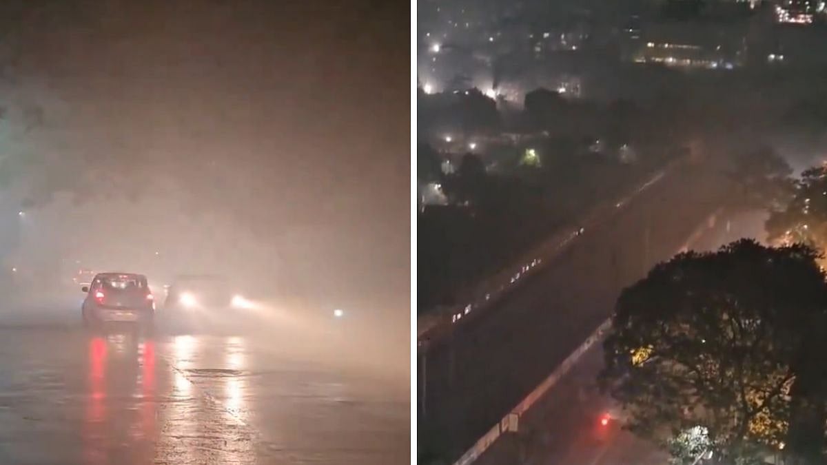 Video screengrab | X/@BigBreakingWire