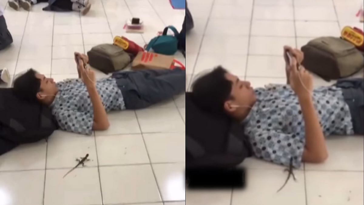 Video: Man Calmly Shoos Away Lizard | Instagram@memeyash.world