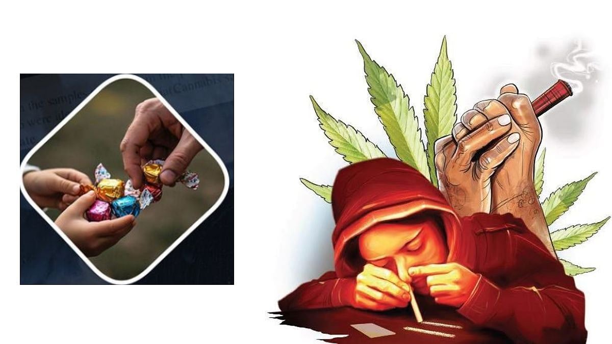 Beware of 'Ganja Toffees': Kerala Excise Department Issues Urgent Alert To Parents Over Weed-Laced Sweets Targeting Students