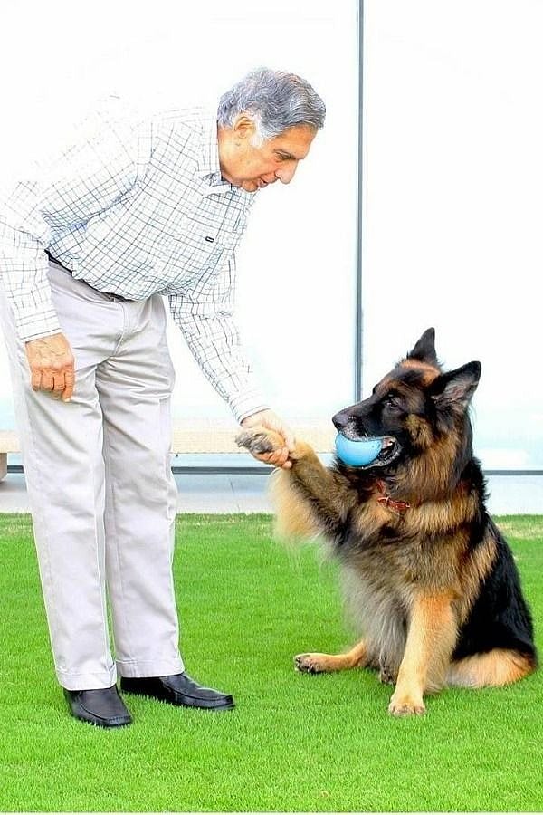 Late Ratan Tata with his German Shepherd dog