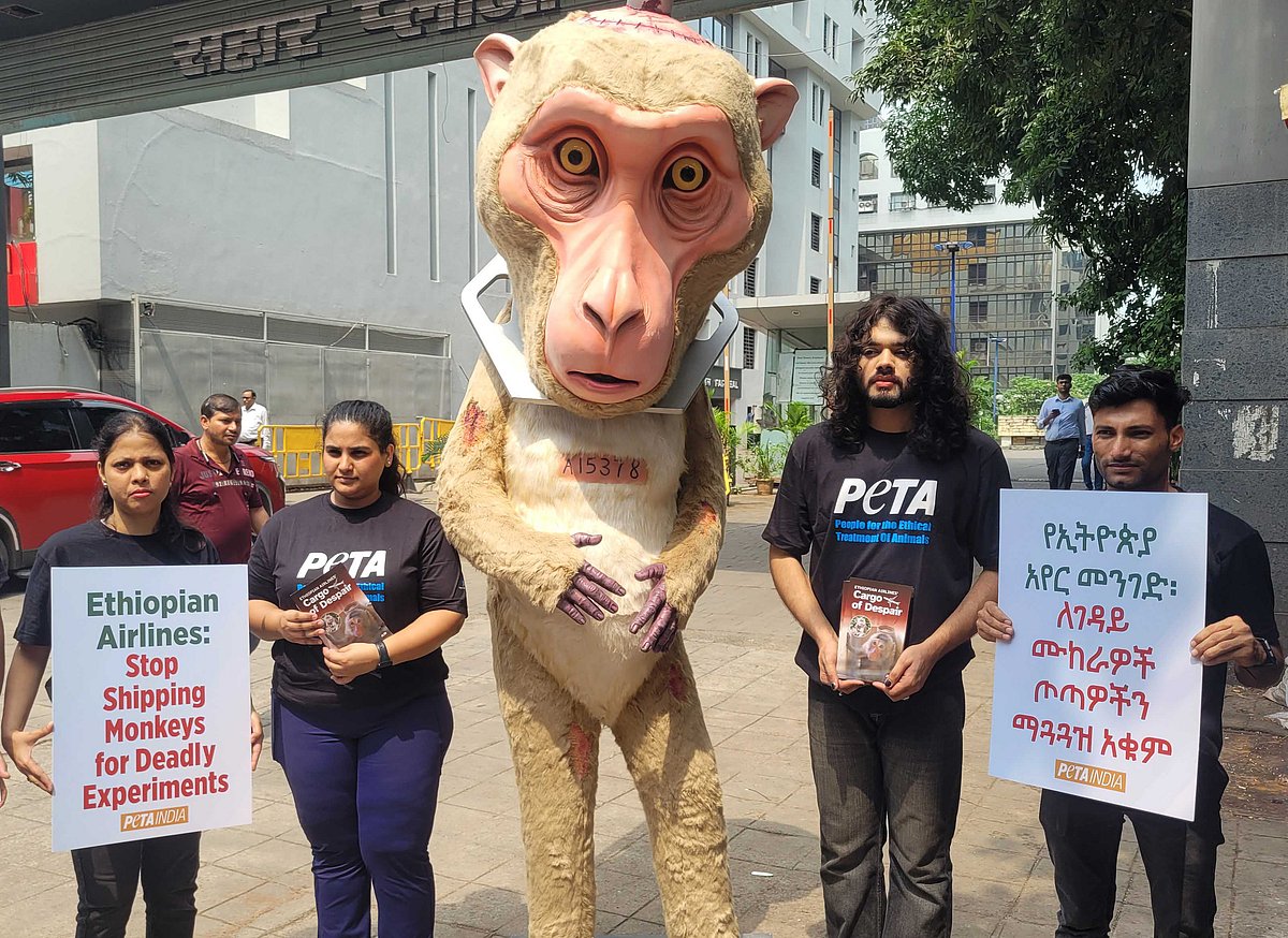 PETA Protest outside the office of Ethiopian Airlines in Andheri (E)