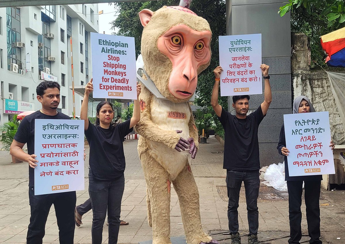 PETA Protest outside the office of Ethiopian Airlines in Andheri (E)
