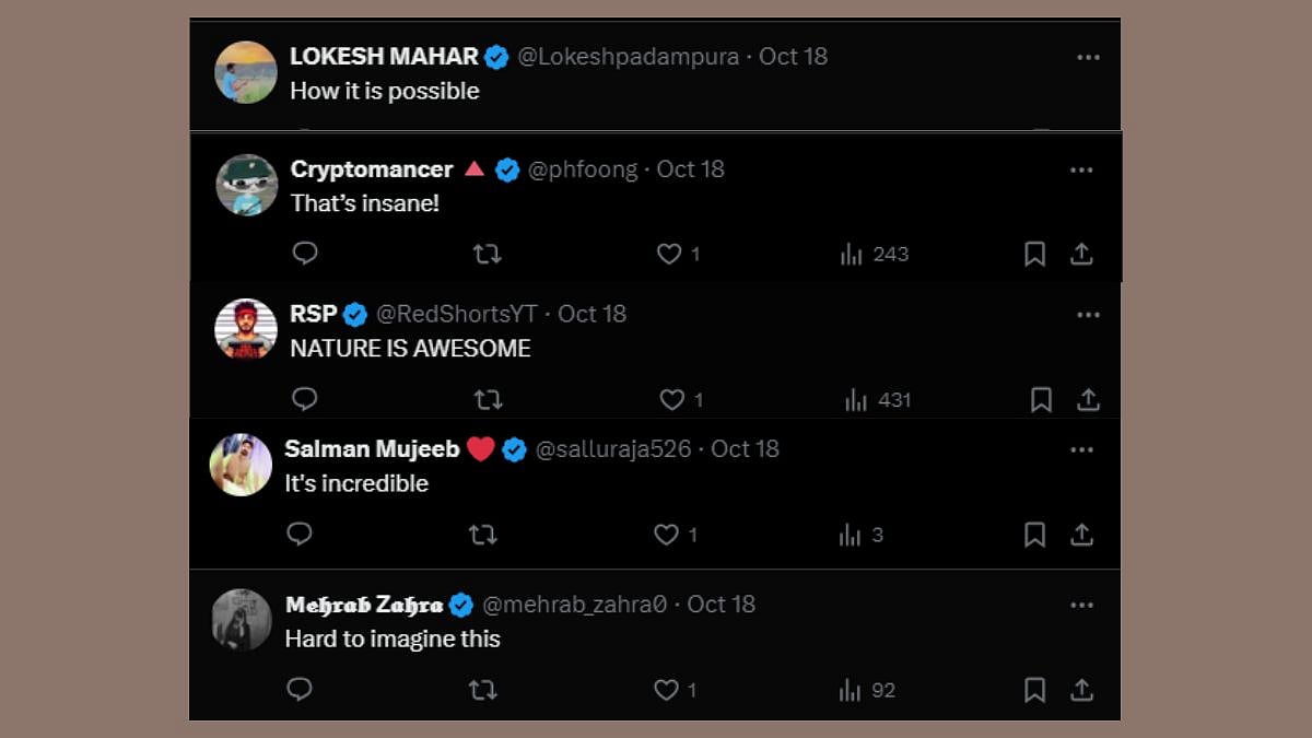Netizens react