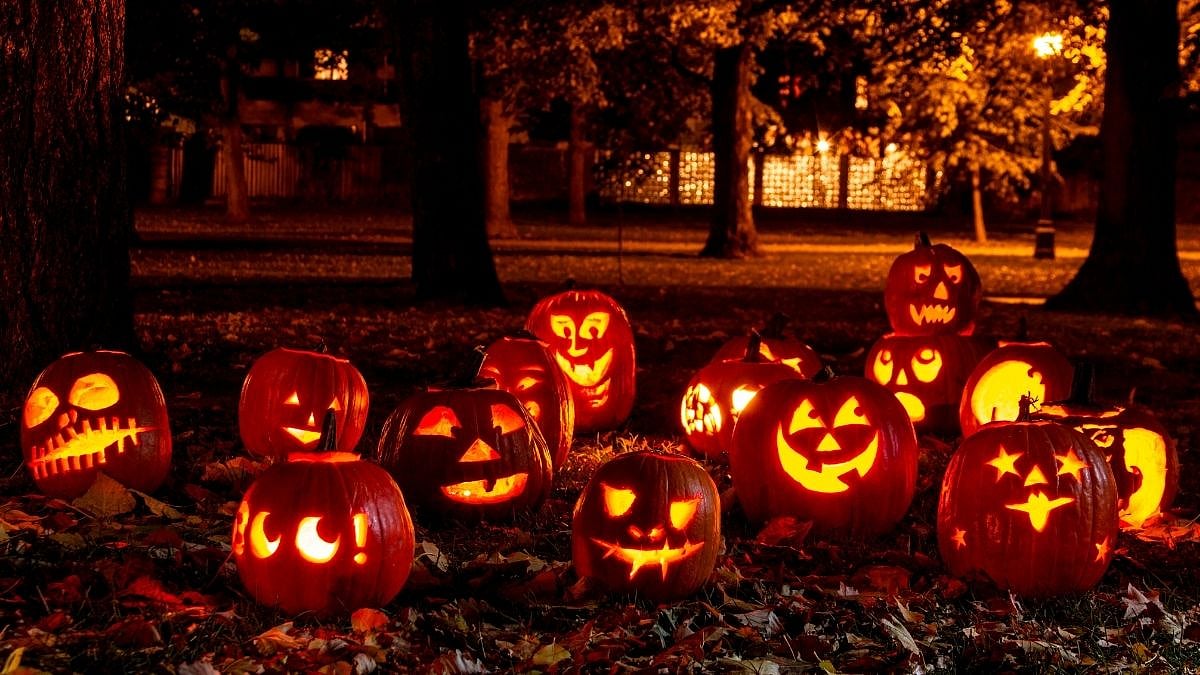 Halloween 2024
