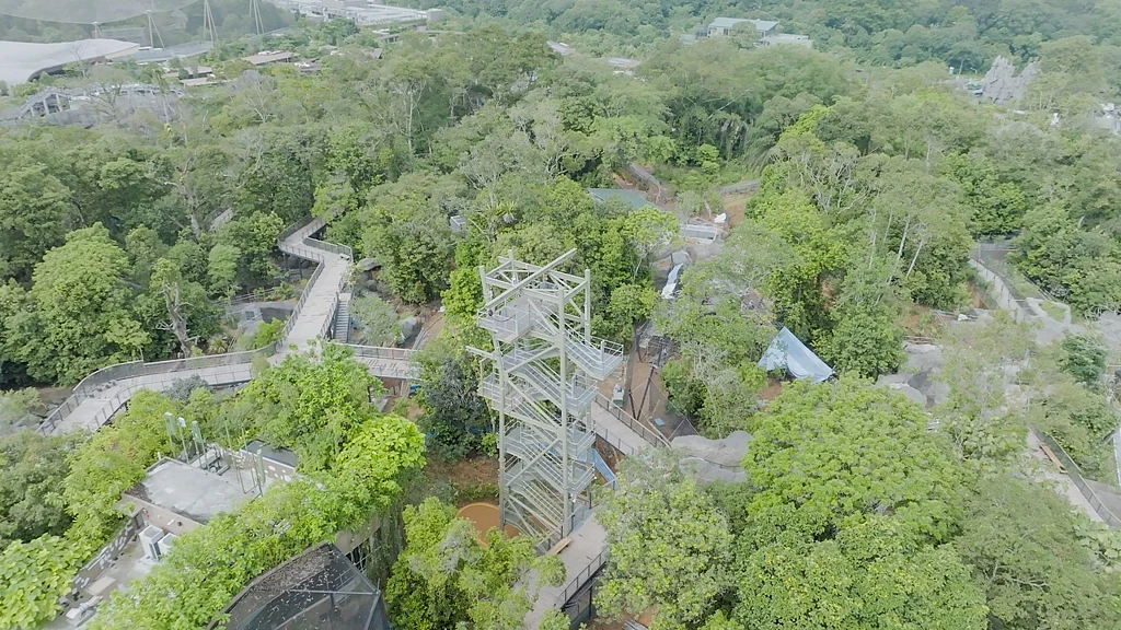 Leap from 20m – the highest point of Rainforest Wild Asia – at Canopy Jump, one of several add-on adventure experiences. Feel the adrenaline of a free fall and take in the stunning rainforest vistas before transitioning safely to the forest floor below. Photo courtesy: Mandai Wildlife Group
