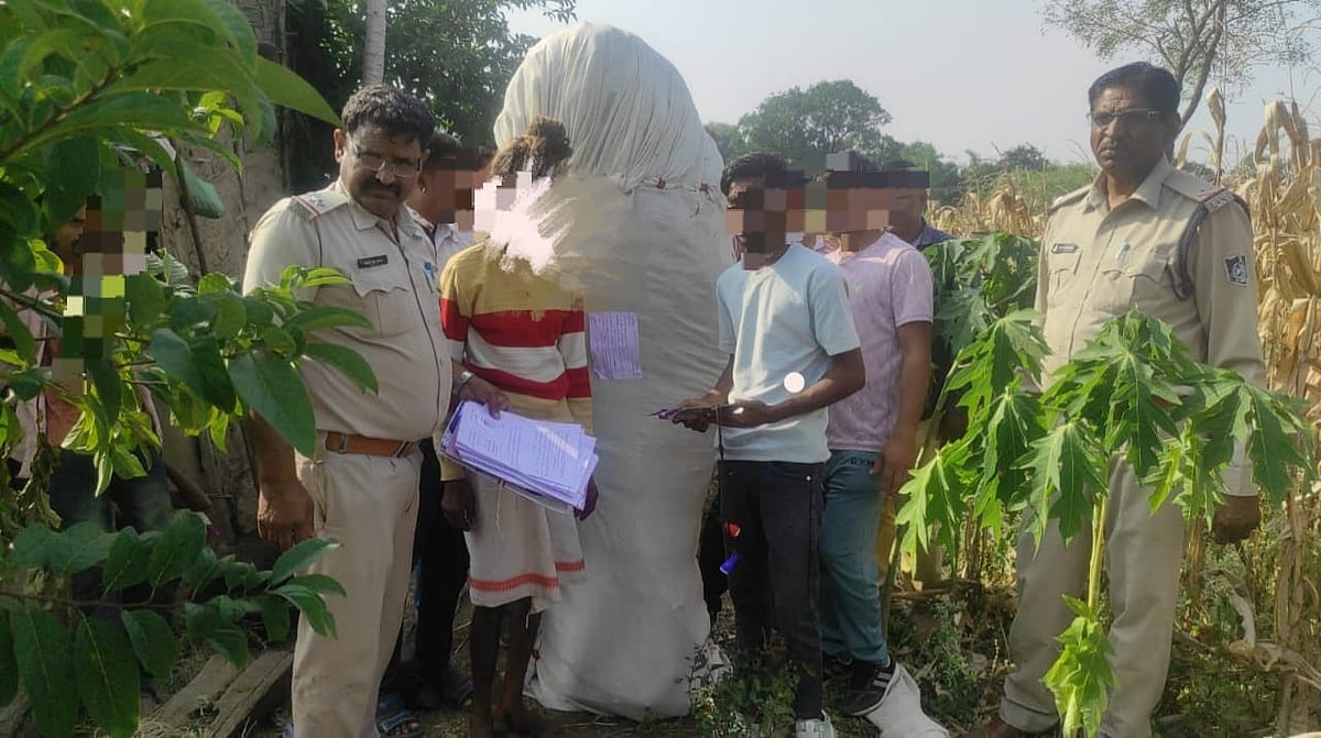 Varla police raid cotton field, seize 67 ganja plants; one held