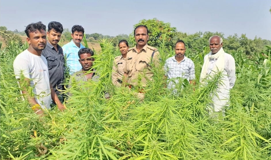 article-image