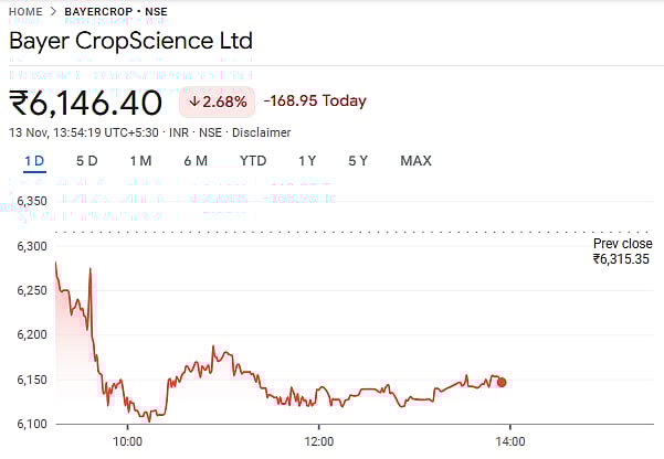 Share performance