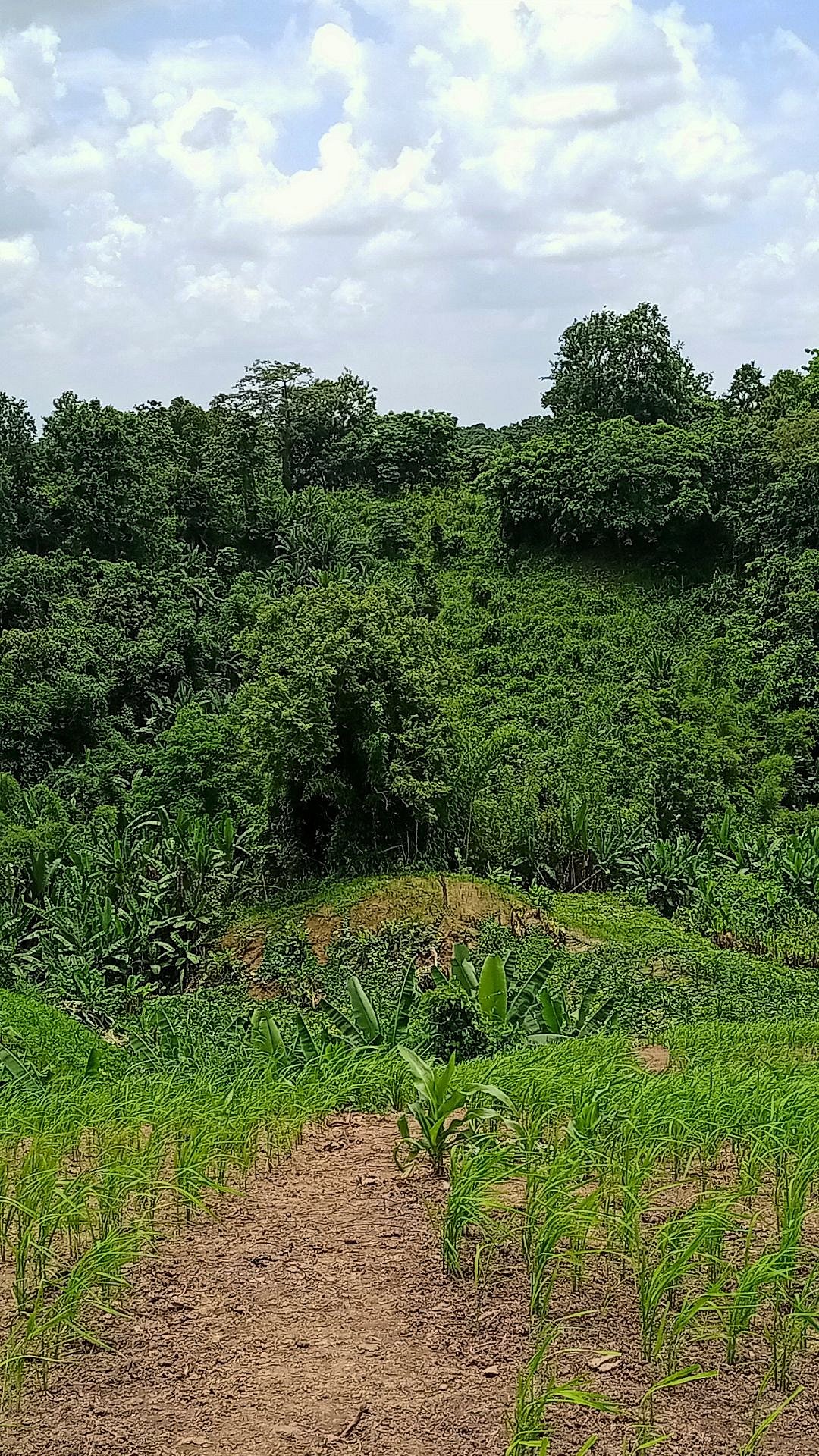 Winter Travel 7 MustVisit Places To Visit In Tripura