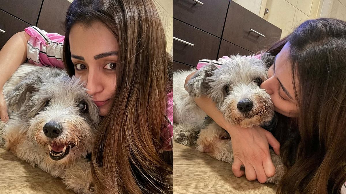 Trisha Krishnan's 'Son' Zorro Passes Away On Christmas, Actress Pens Heartbreaking Note: 'My Life Has Zero Meaning Henceforth'