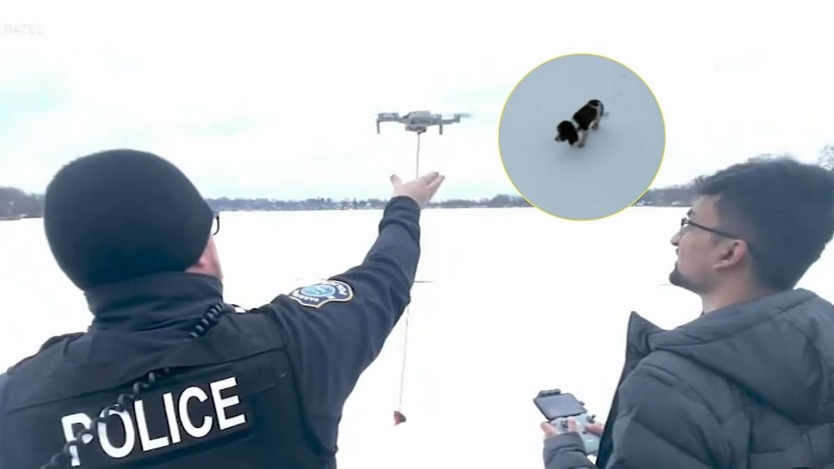 VIDEO: Dog Stranded For Nearly 24 Hours On Frozen Lake In New Jersey  Safe After Man Flies Drone To Spot Animal, Assist Cops In Its Rescue